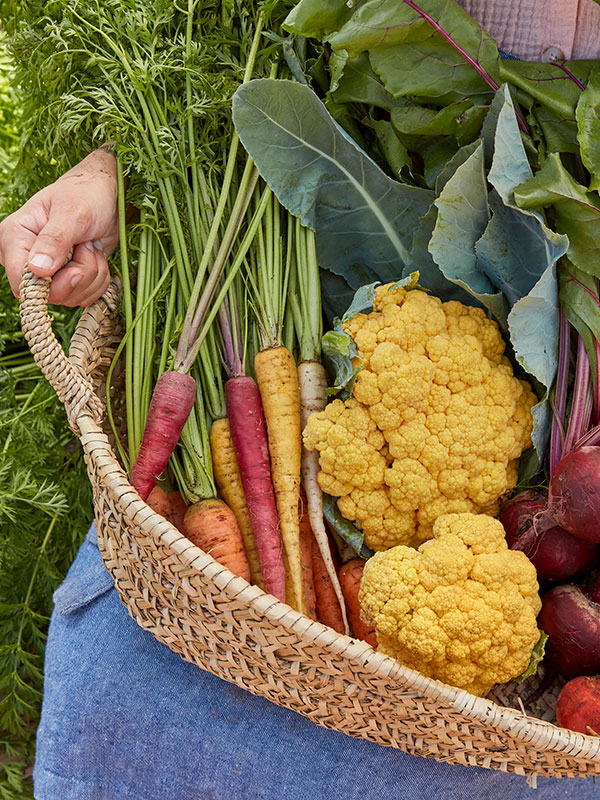 Fall Gardening Tips from the Experts