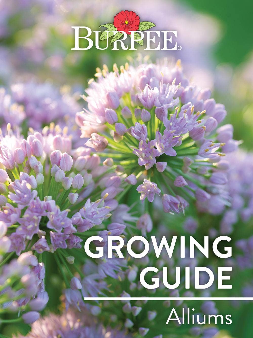 Learn About Alliums