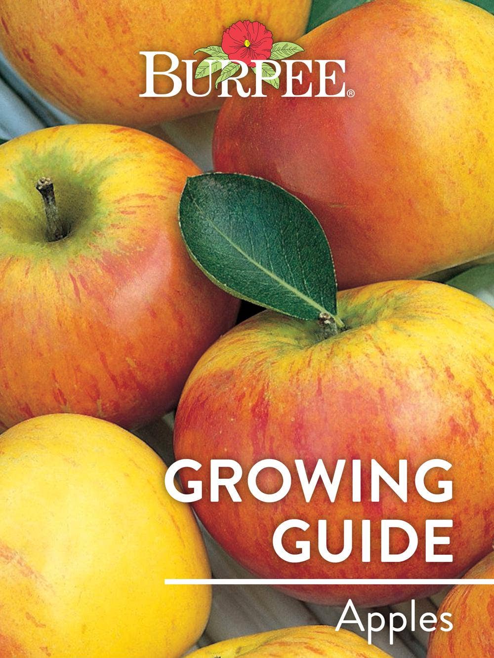 Learn About Apples