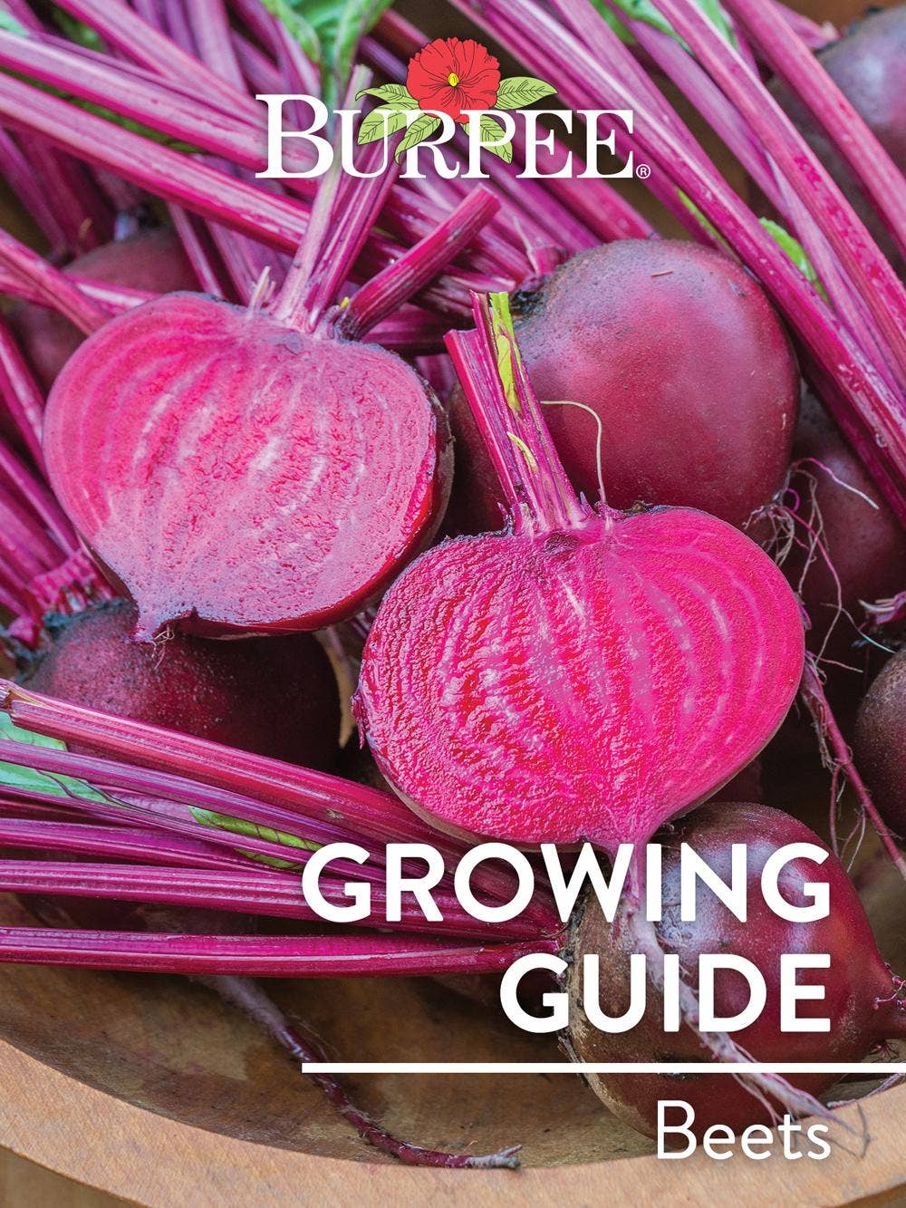 Learn About Beets