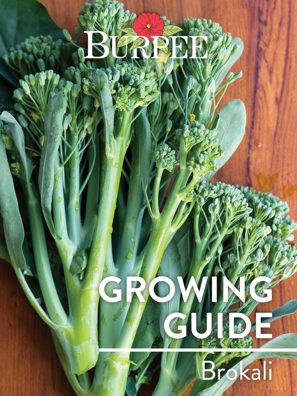 Learn About Brokali