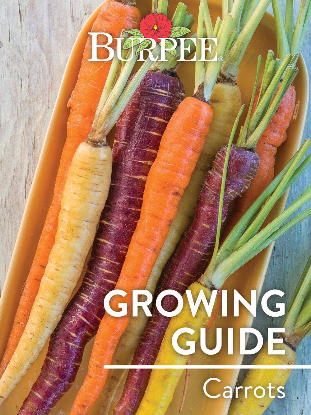 Learn About Carrots