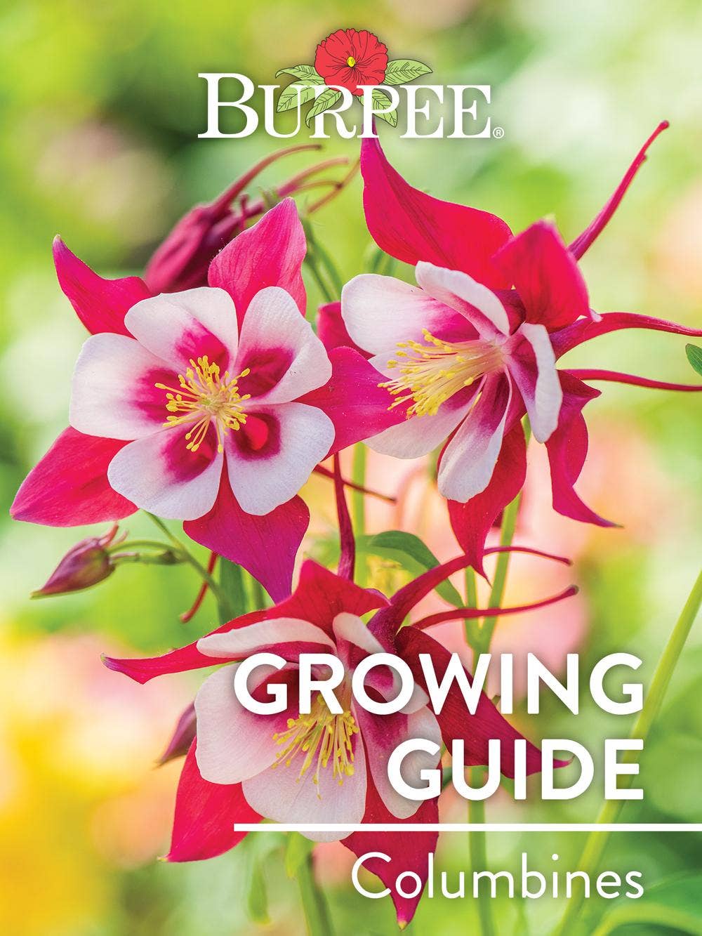 Learn About Columbines