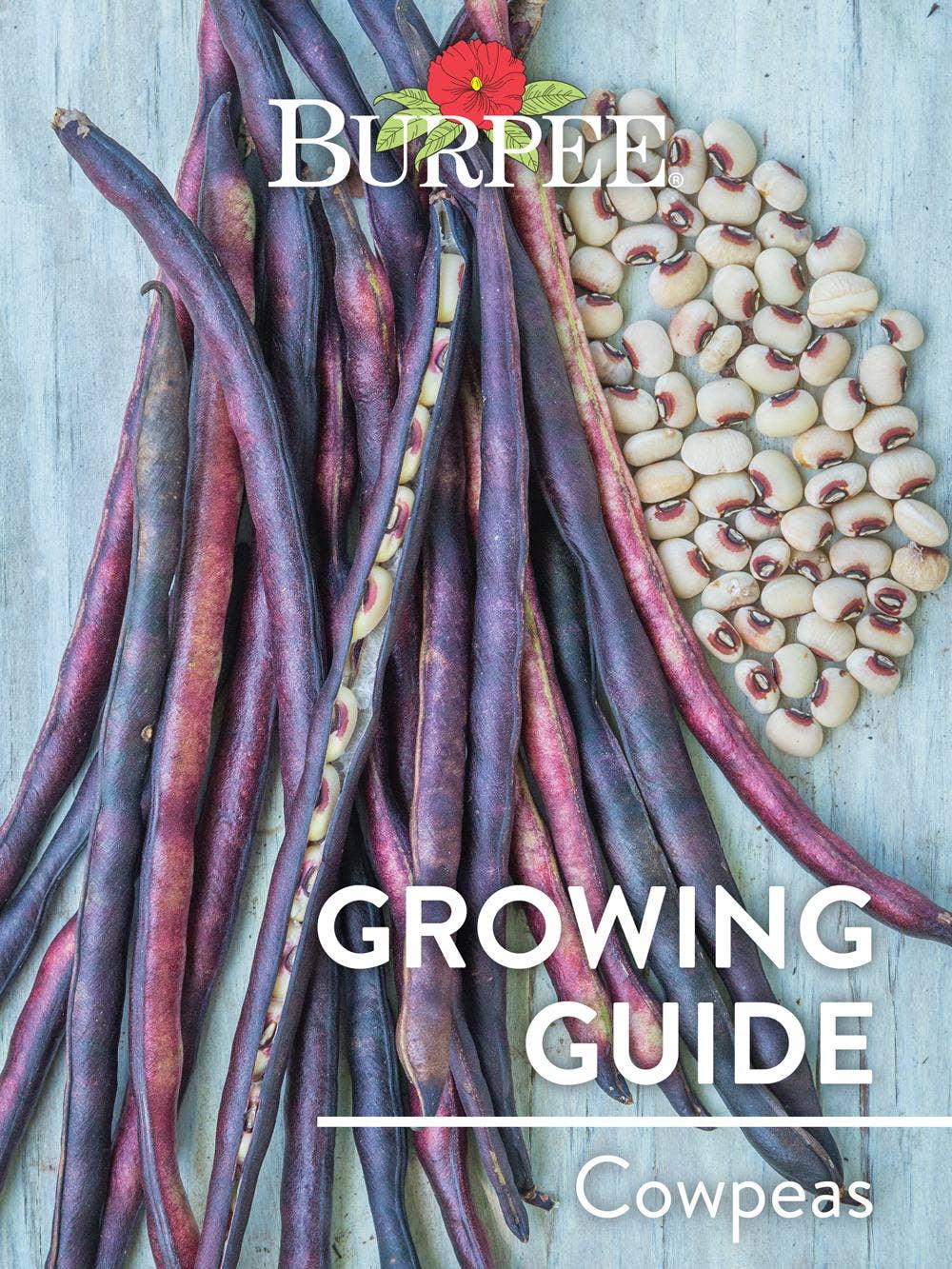 Learn About Cowpeas