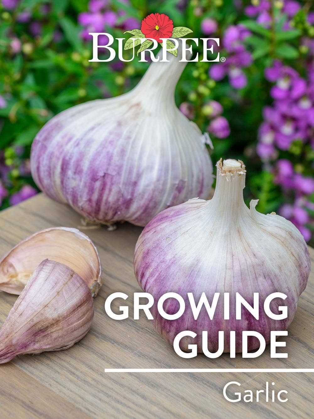 Learn About Garlic