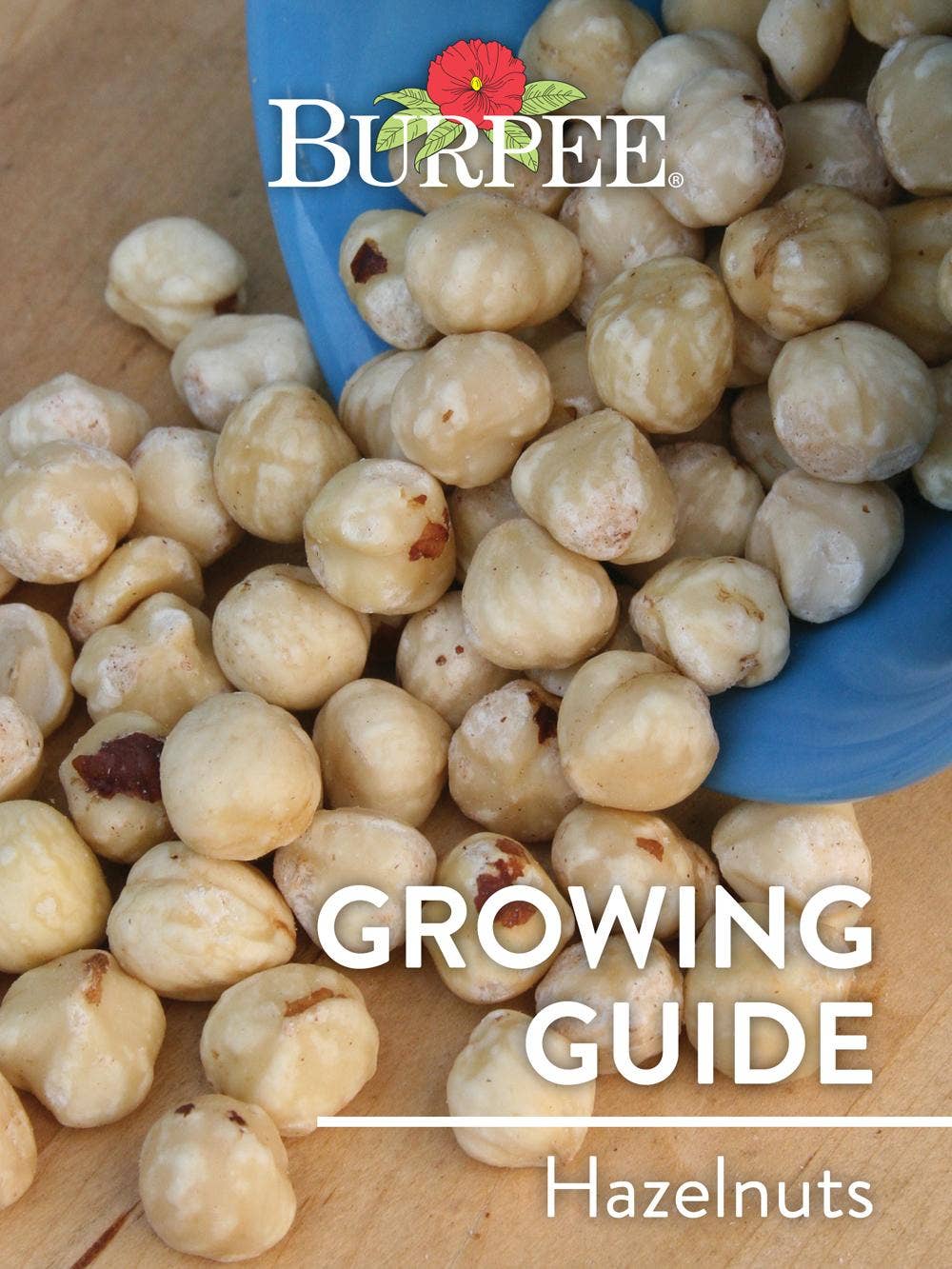 Learn About Hazelnuts