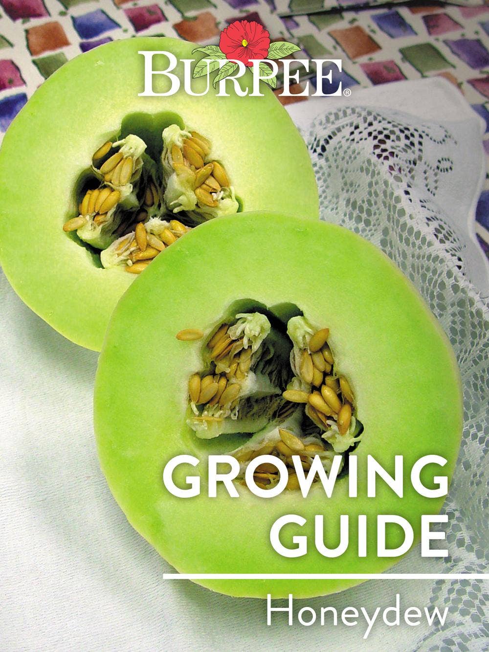 Learn About Honeydew