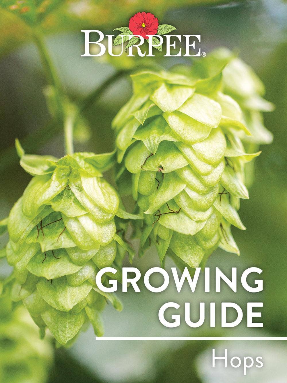 Learn About Hops