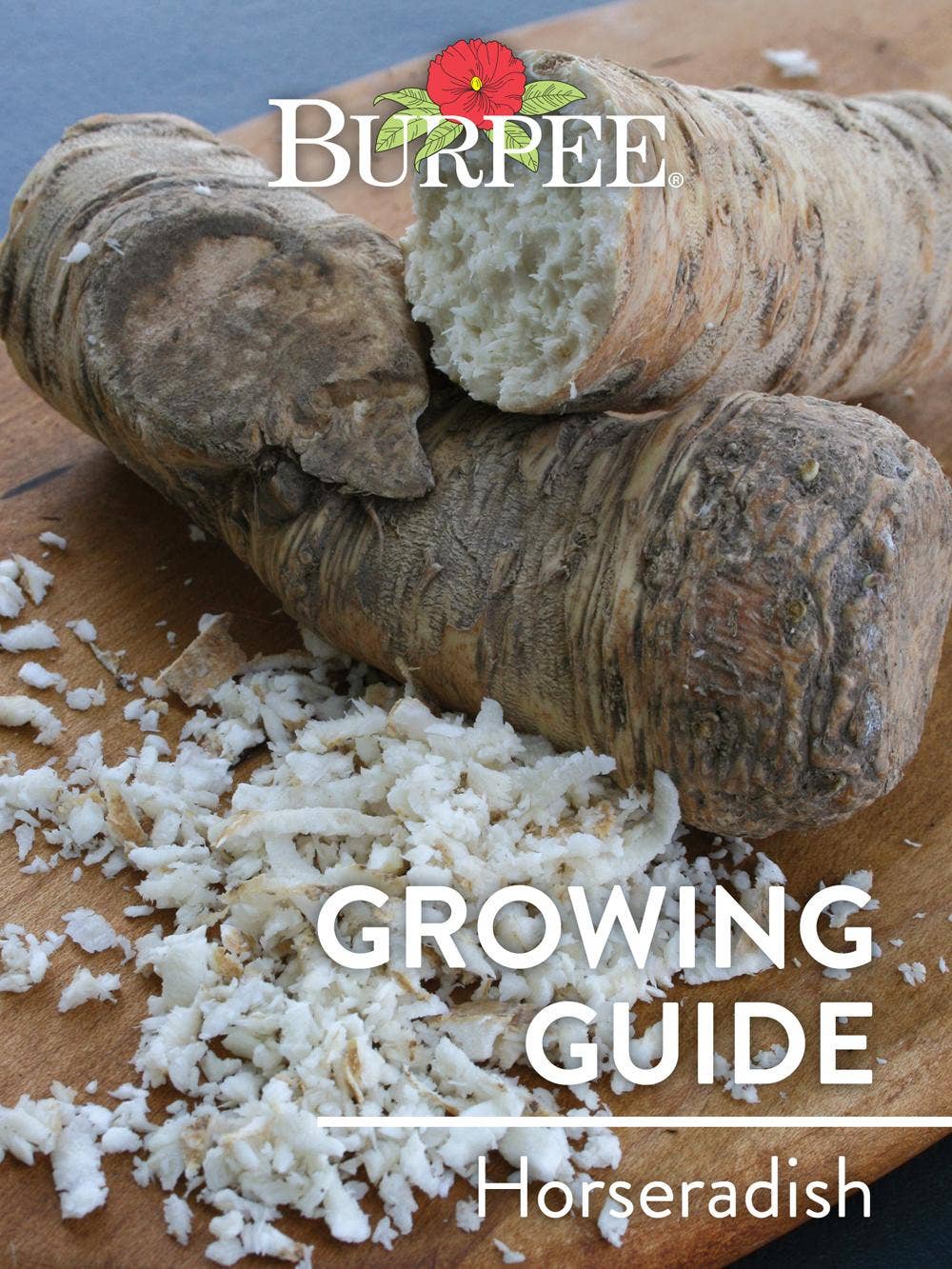 Learn About Horseradish