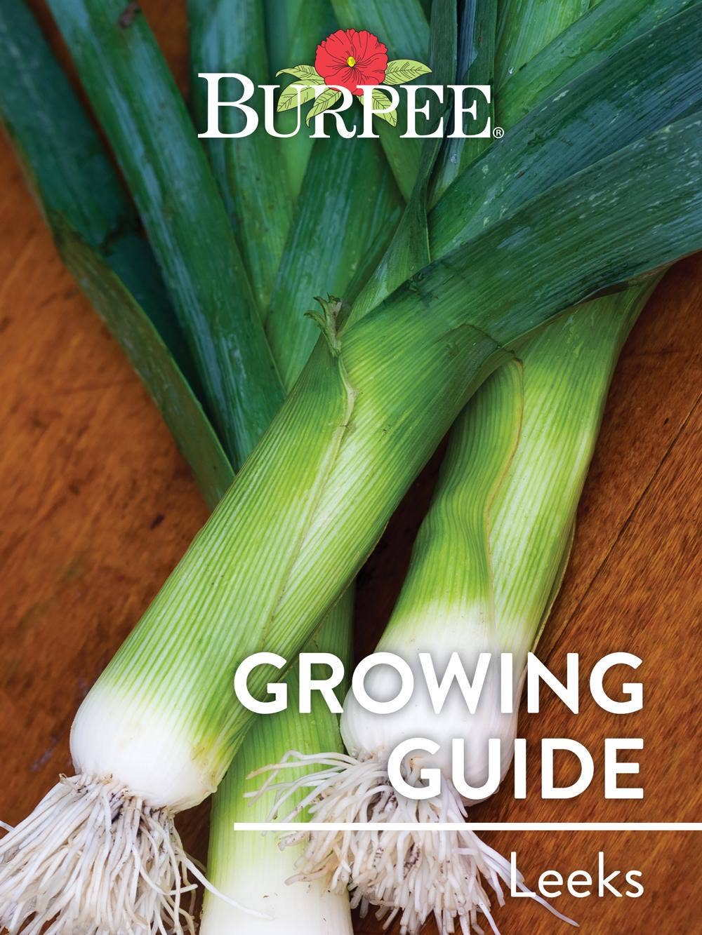 Learn About Leeks