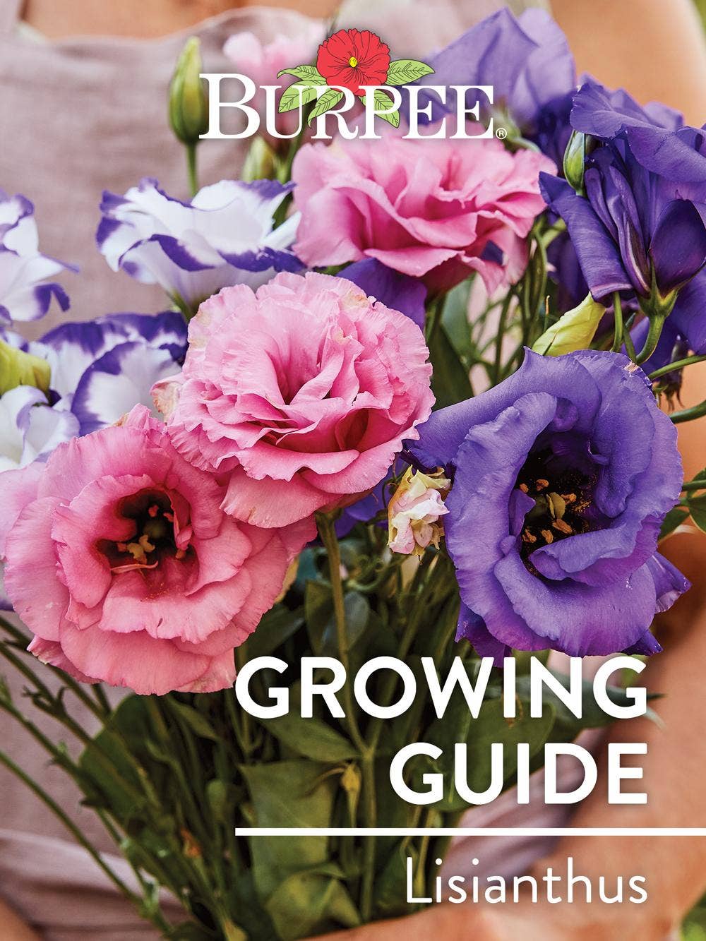 Learn About Lisianthus