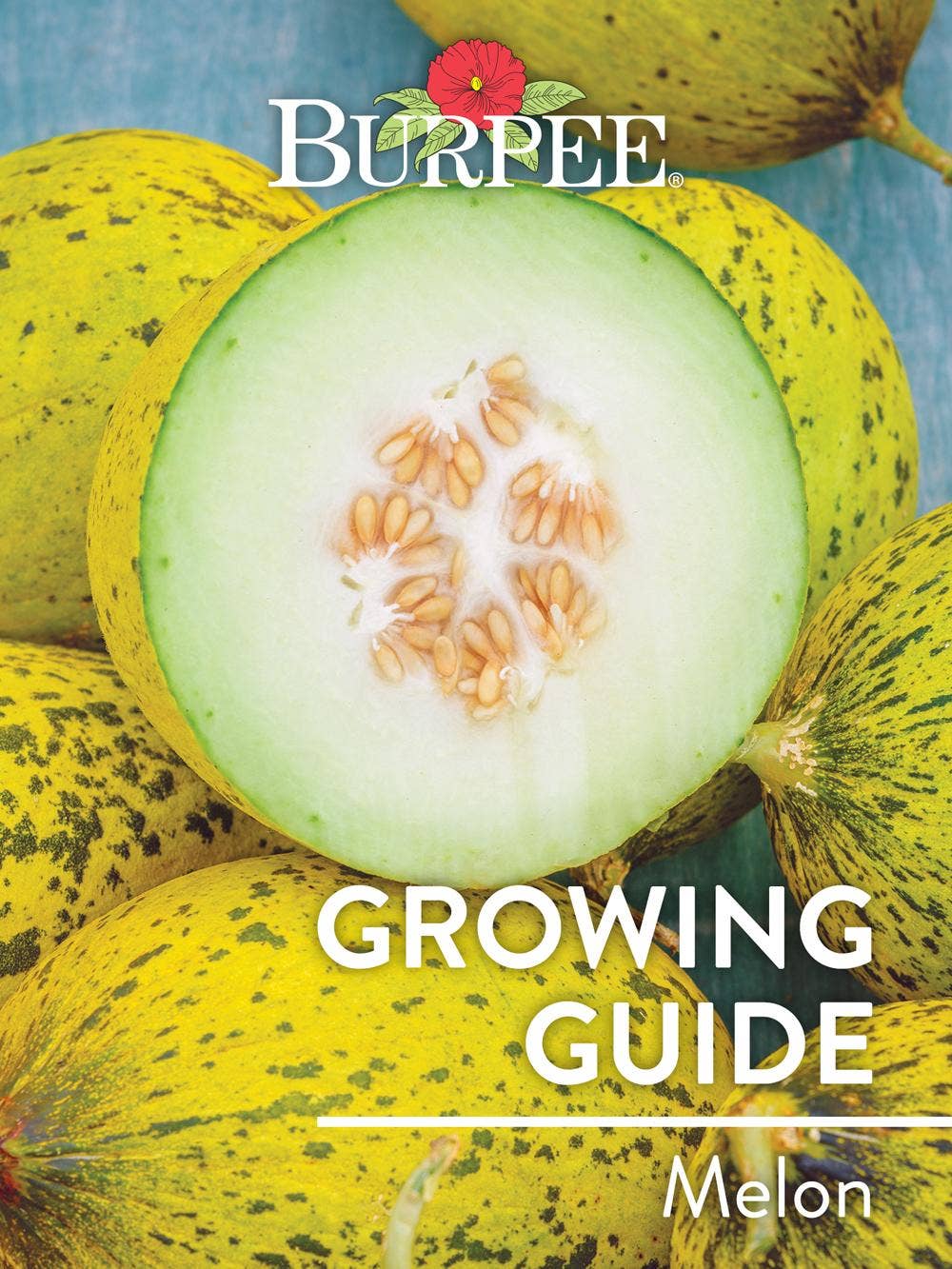 Learn About Melon