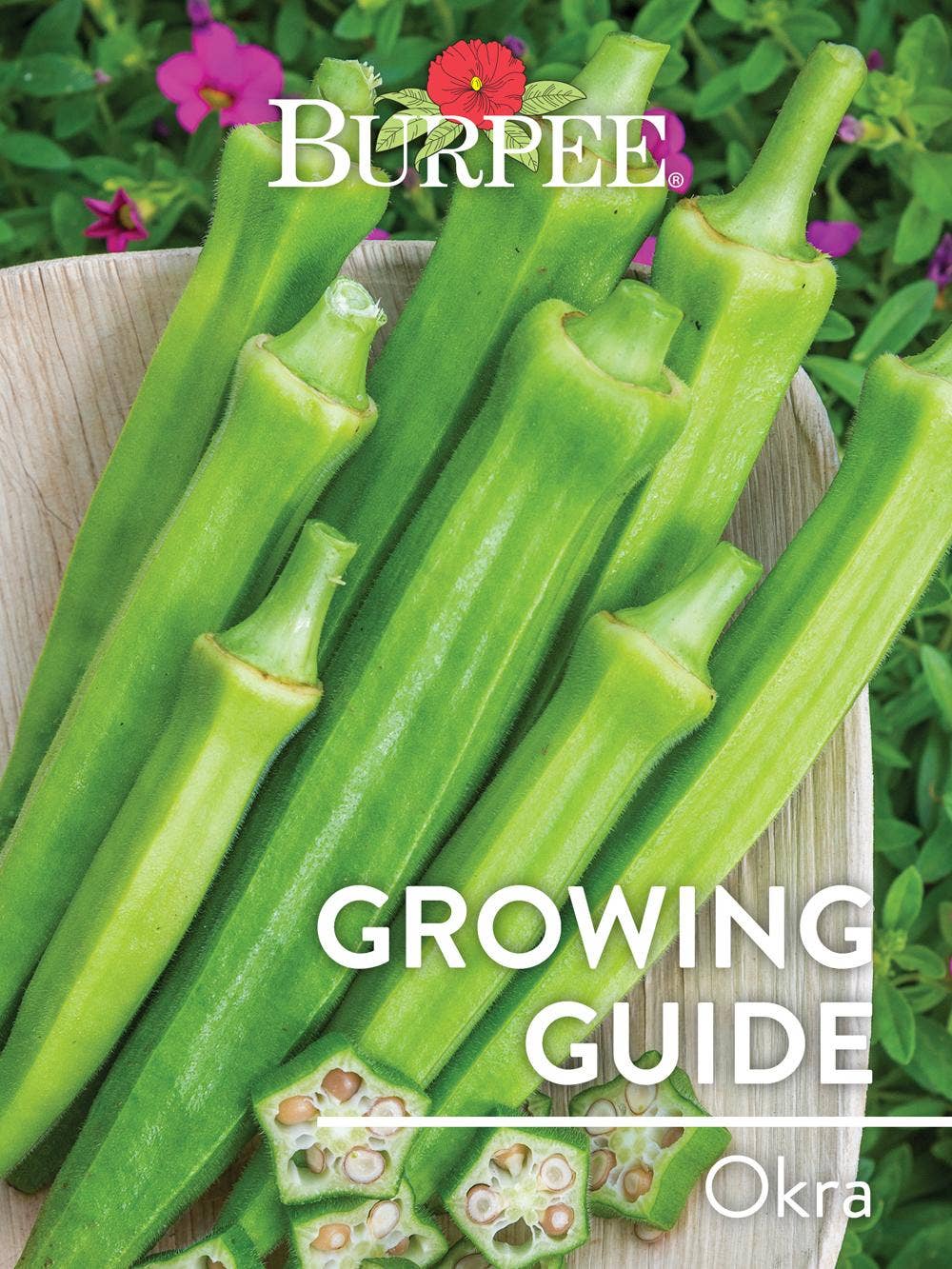 Learn About Okra