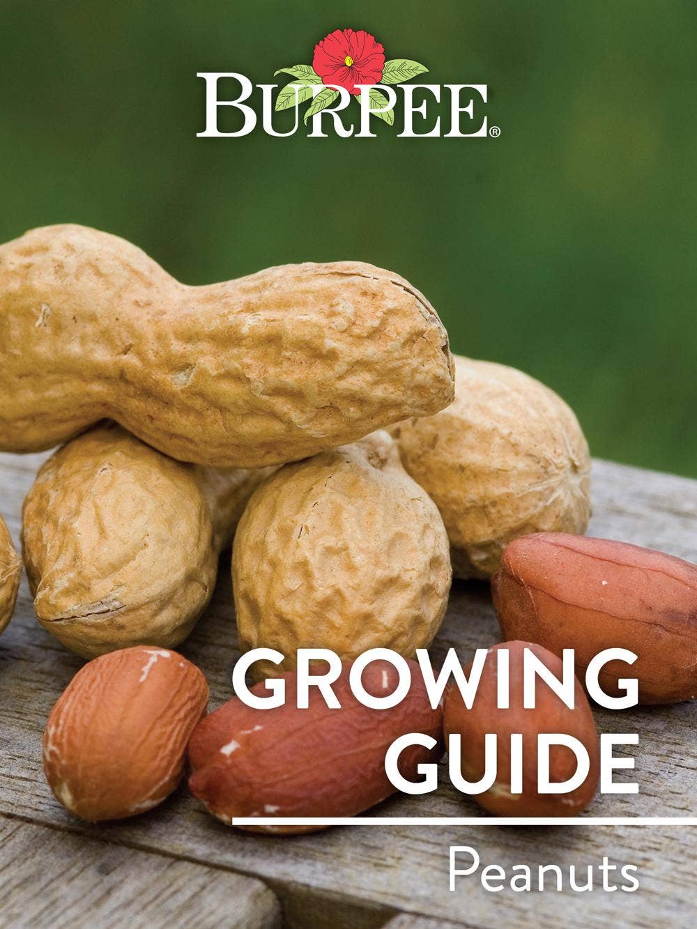Learn About Peanuts