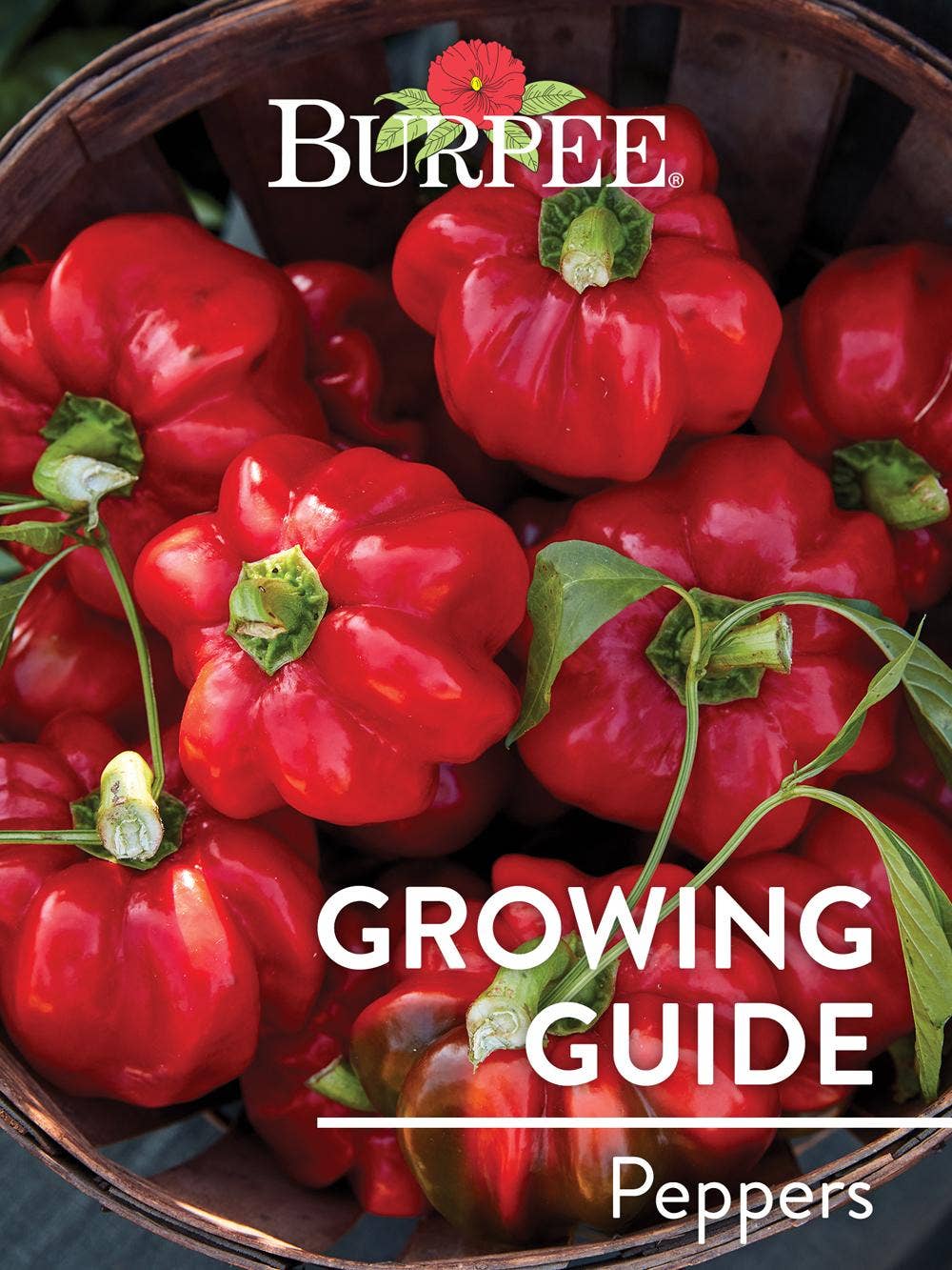 Learn About Peppers