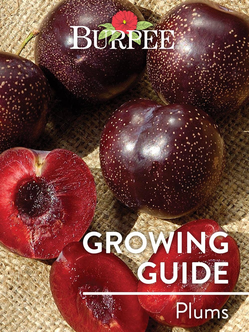 Learn About Plums