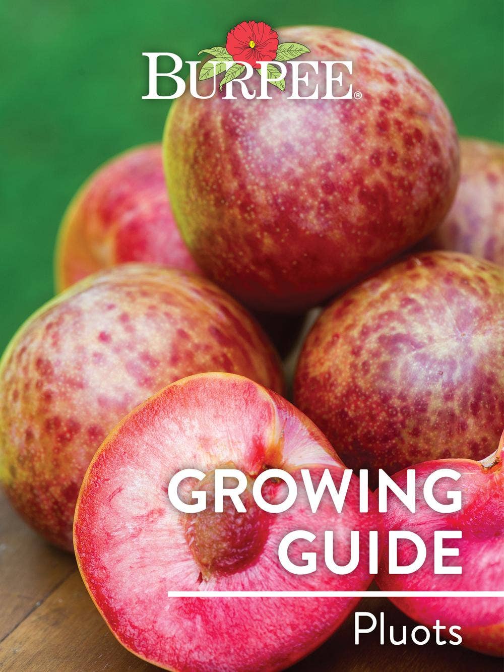 Learn About Pluots