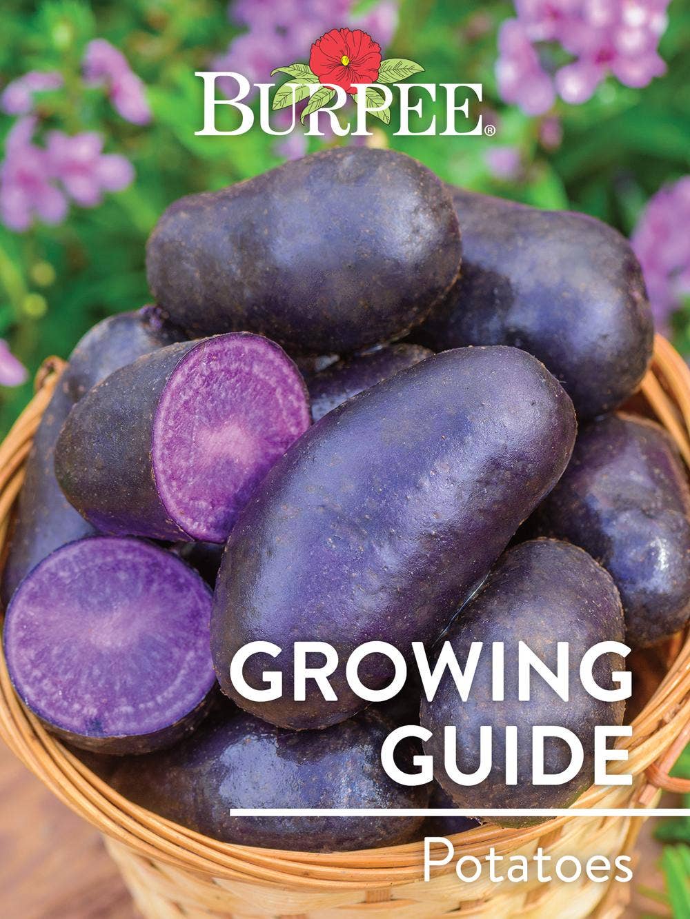 Learn About Potatoes