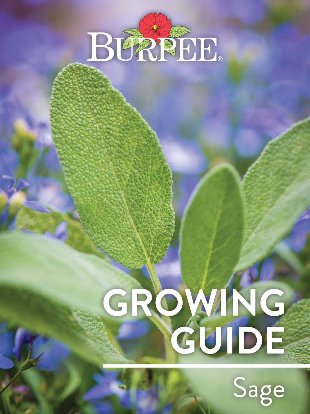 Learn About Sage