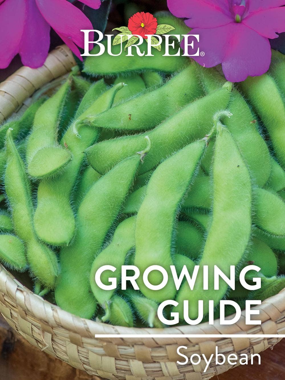 Learn About Soybean