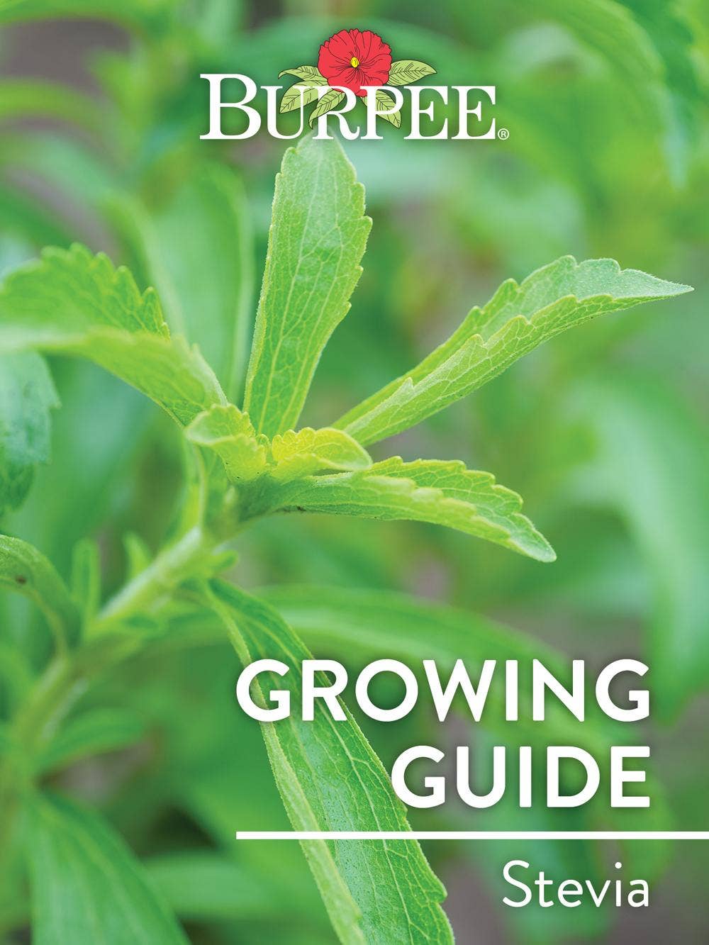 Learn About Stevia