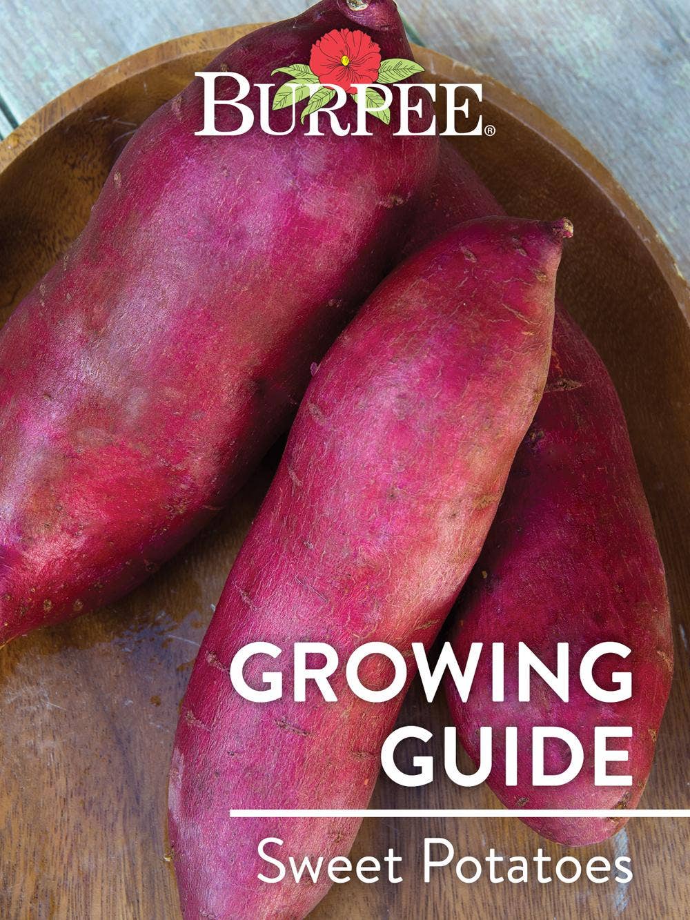 Learn About Sweet Potatoes