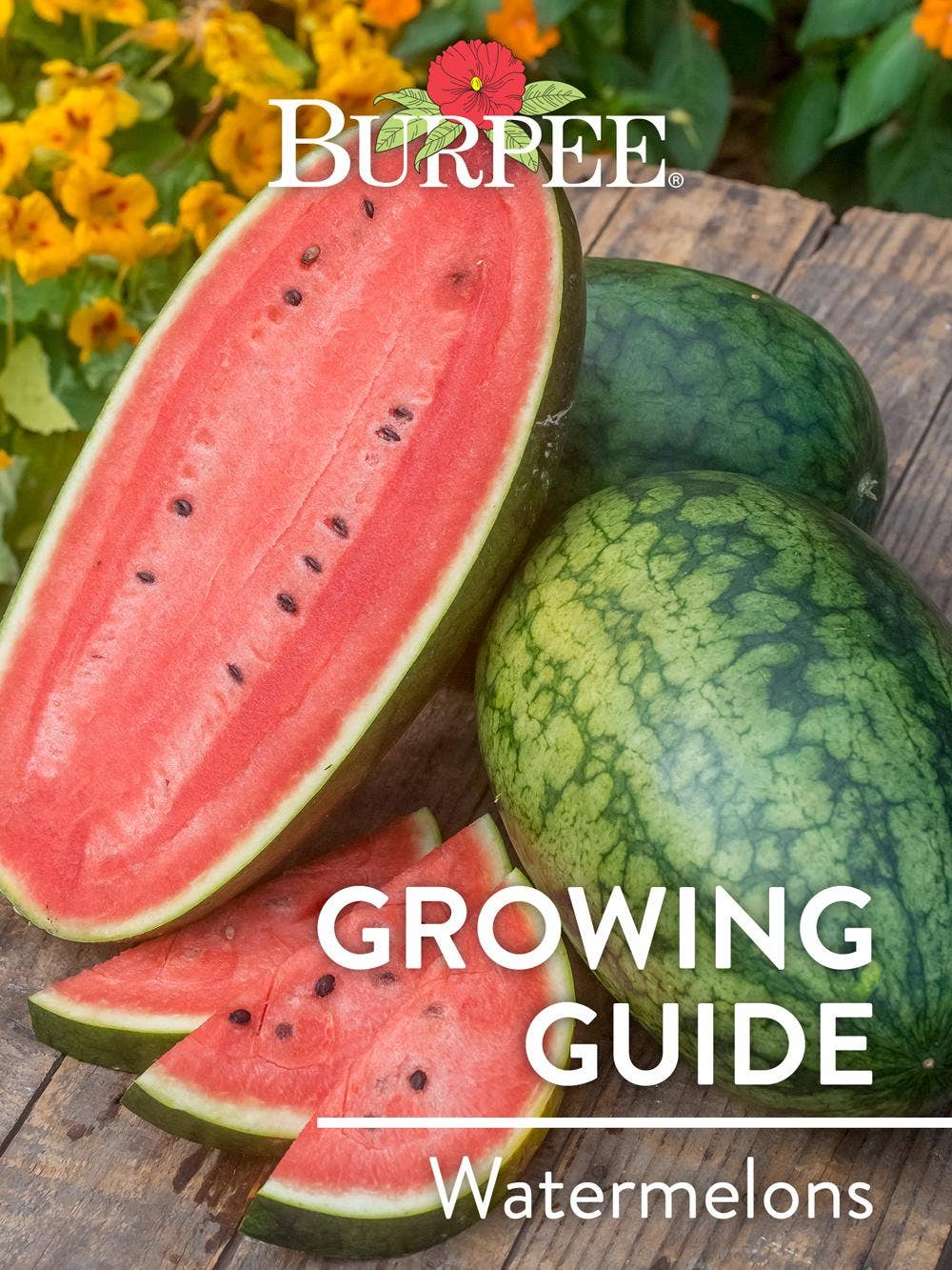 Learn About Watermelons