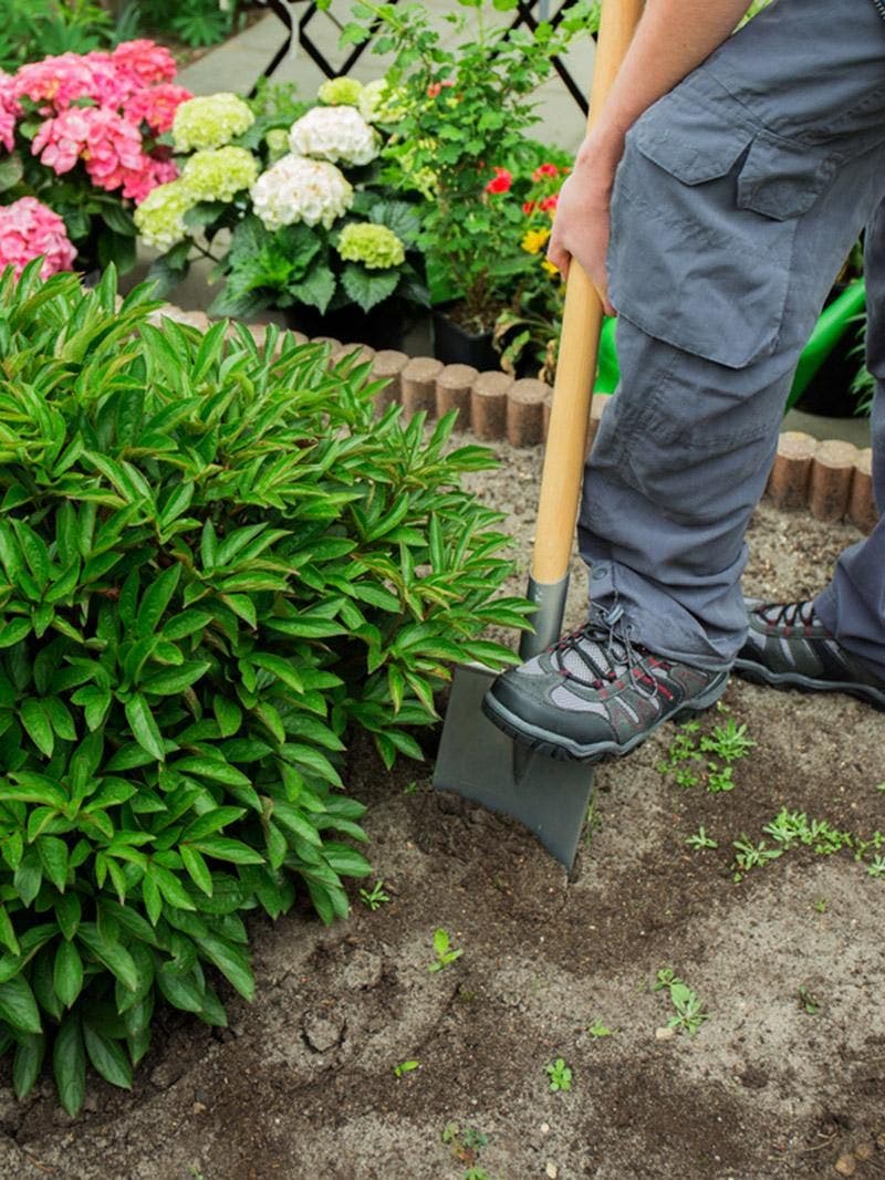 A gardener amends their soil.