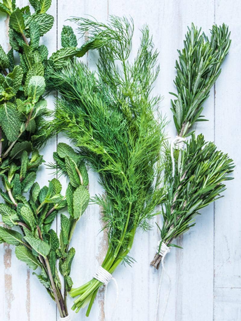 How to Store Fresh Herbs From the Garden