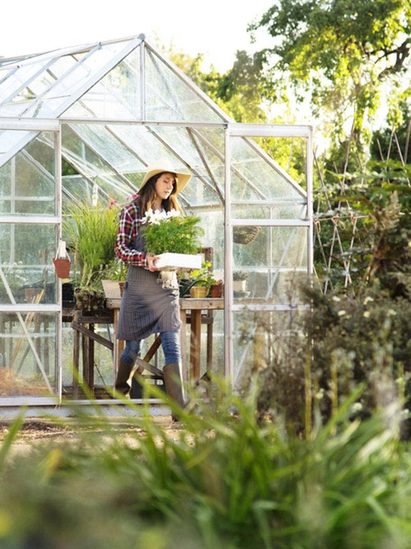 : A woman carries a tray of plants from a greenhouse.