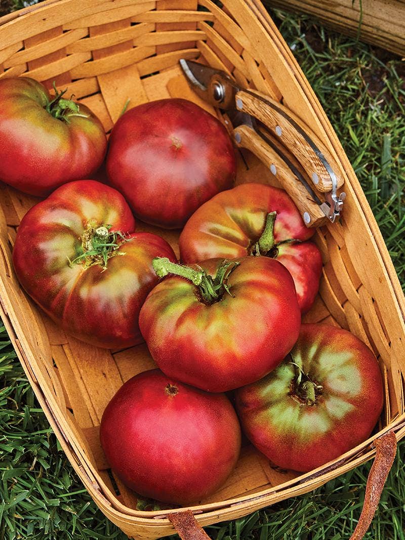 Black Krim tomatoes in a basket.