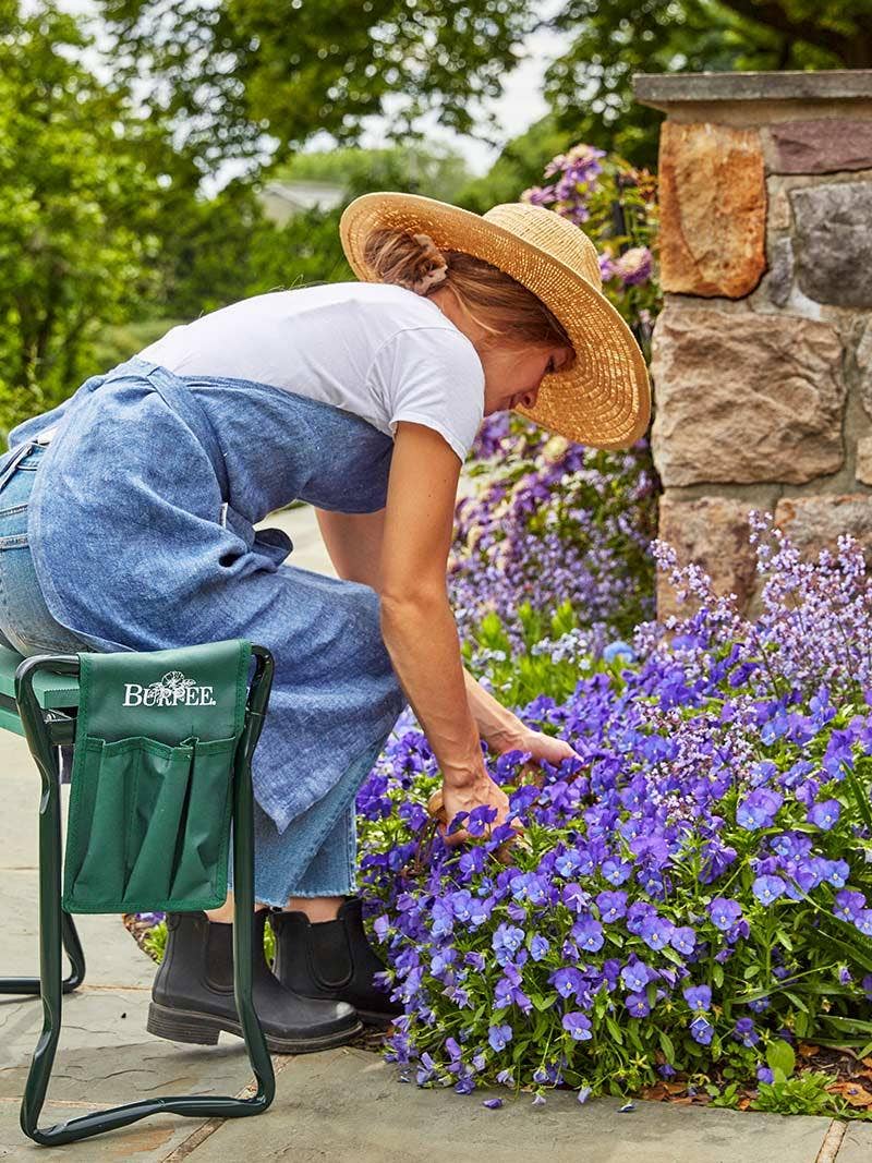 How to Create a Fragrant Garden