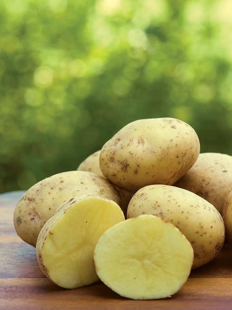 How and When to Plant Potatoes