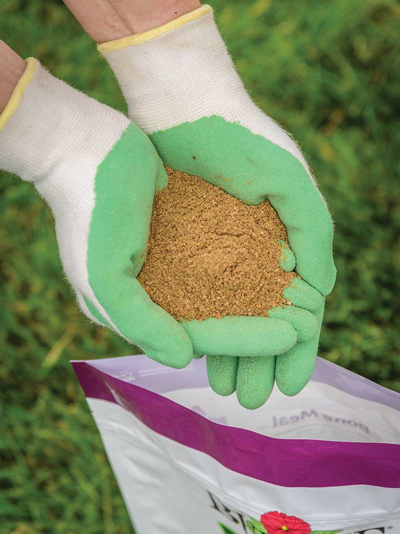 A Guide to Flower Fertilizer