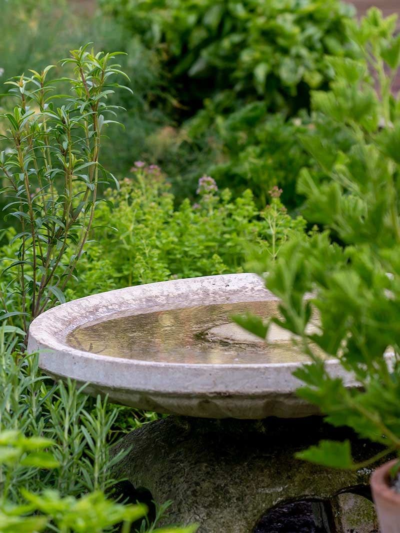 How to Design a Privacy Garden