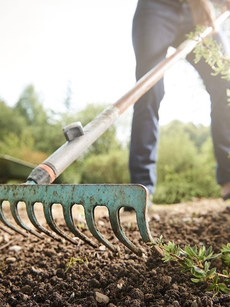 Organic Fertilizer