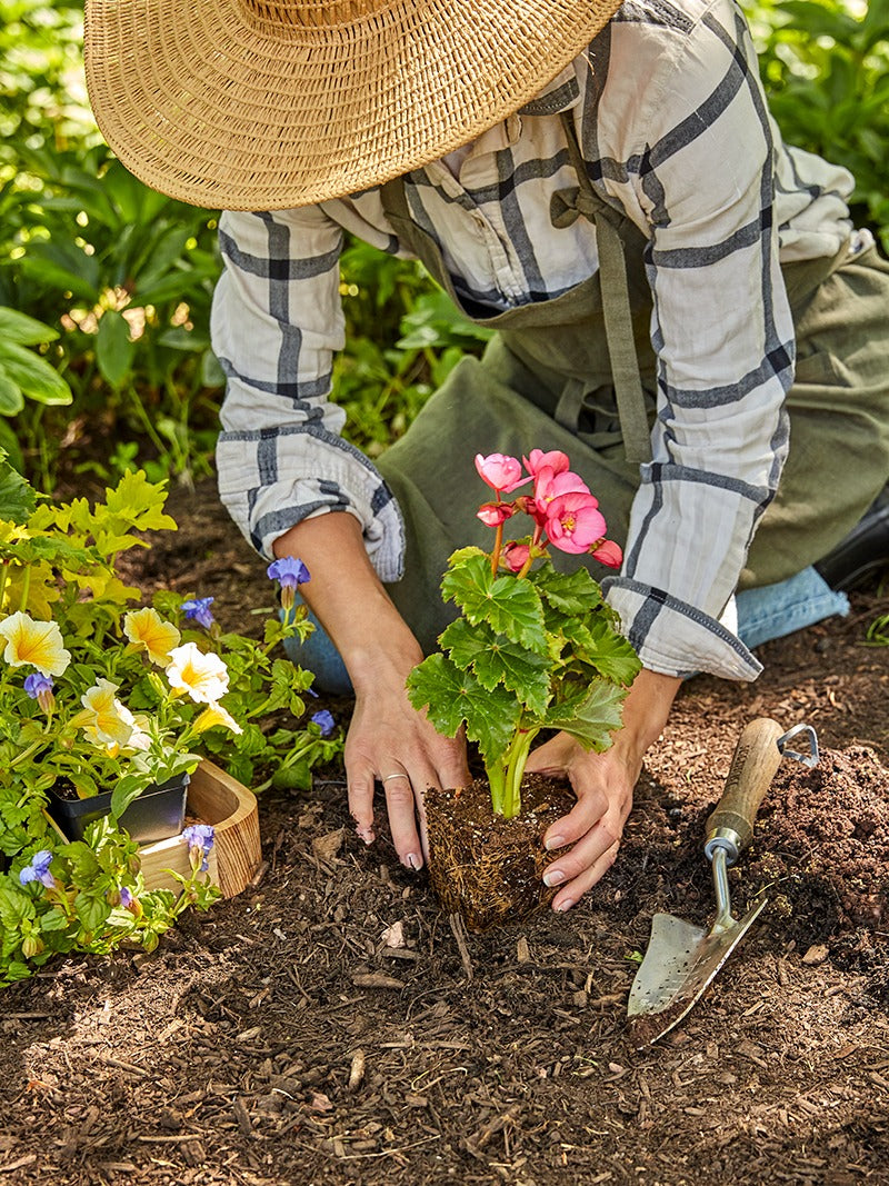 Gardening 101: How to Start a Garden