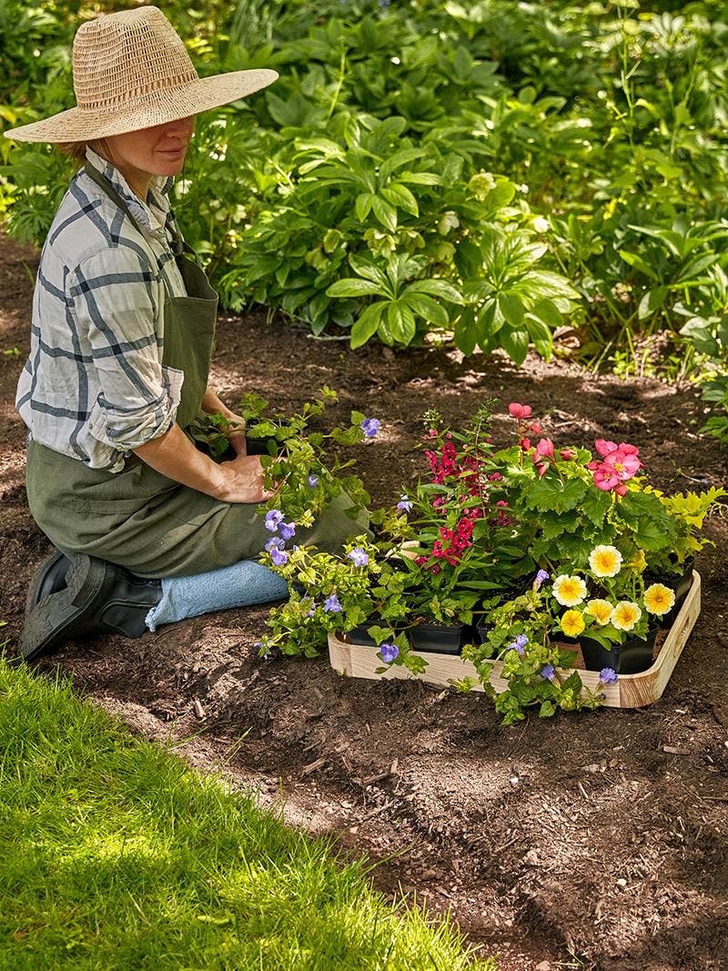 A gardener planting flowers.