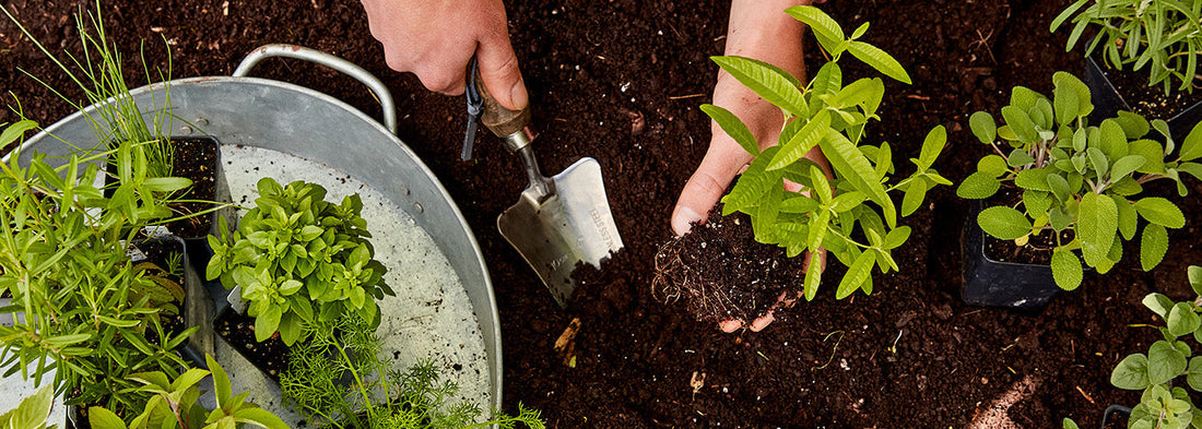 Know Your Sun And Soil