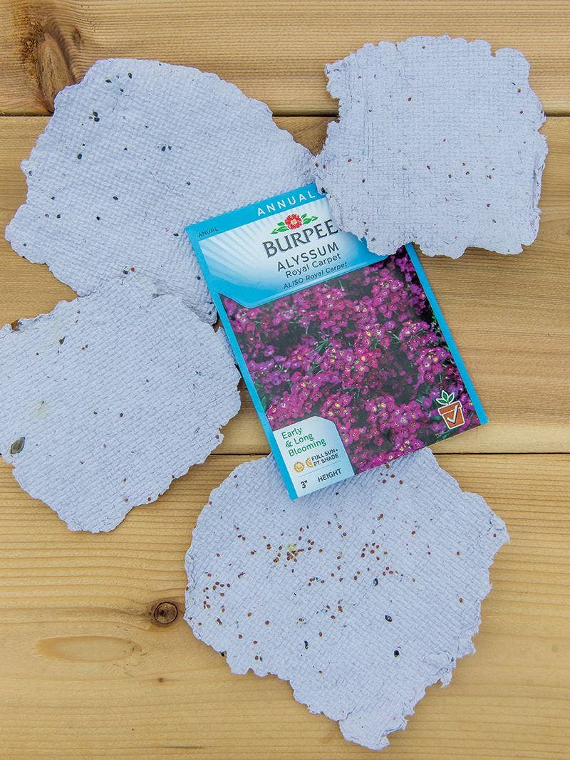 Make seed paper that you can plant