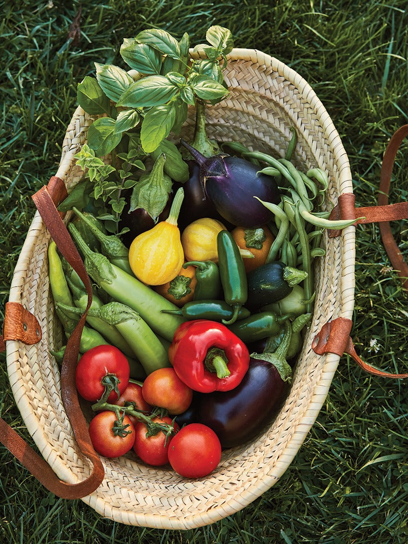 Harvesting Vegetables
