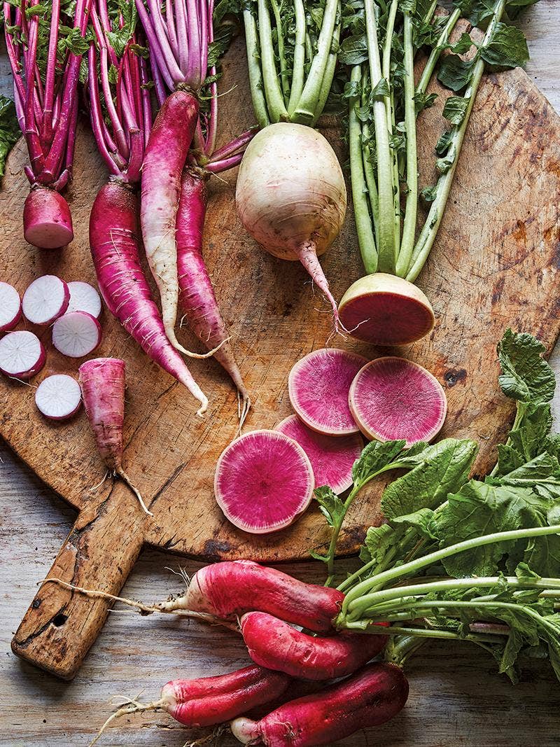 All About Radishes