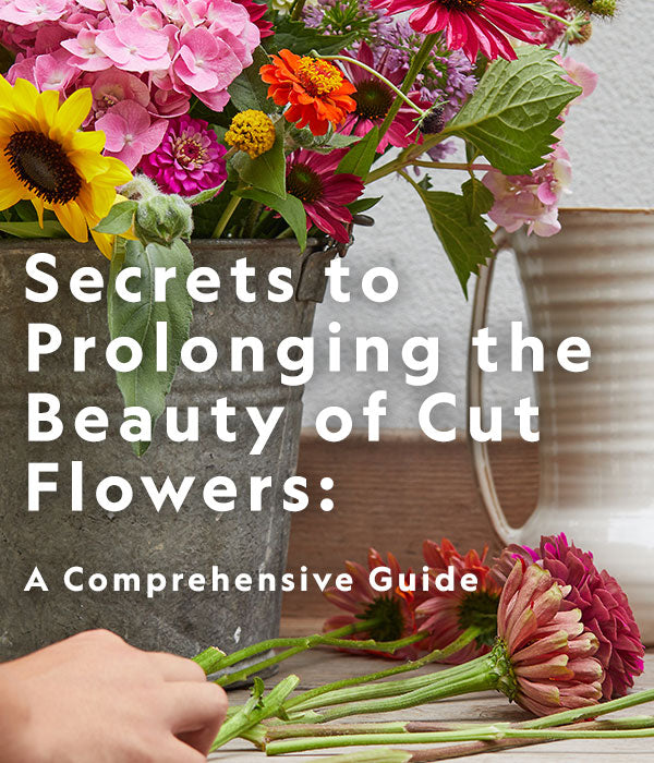 Secrets to Prolonging the Beauty of Cut Flowers