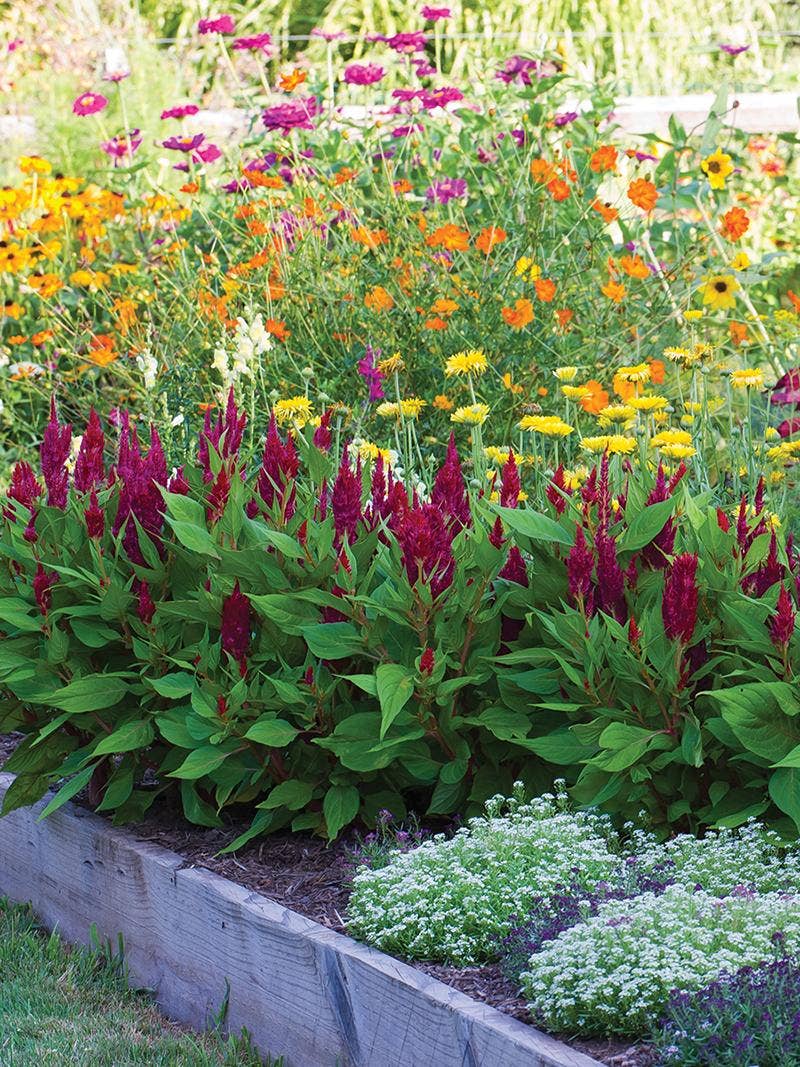 Designing Beds: Using Layers in the Garden