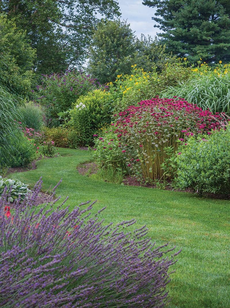 Introduction to Perennials