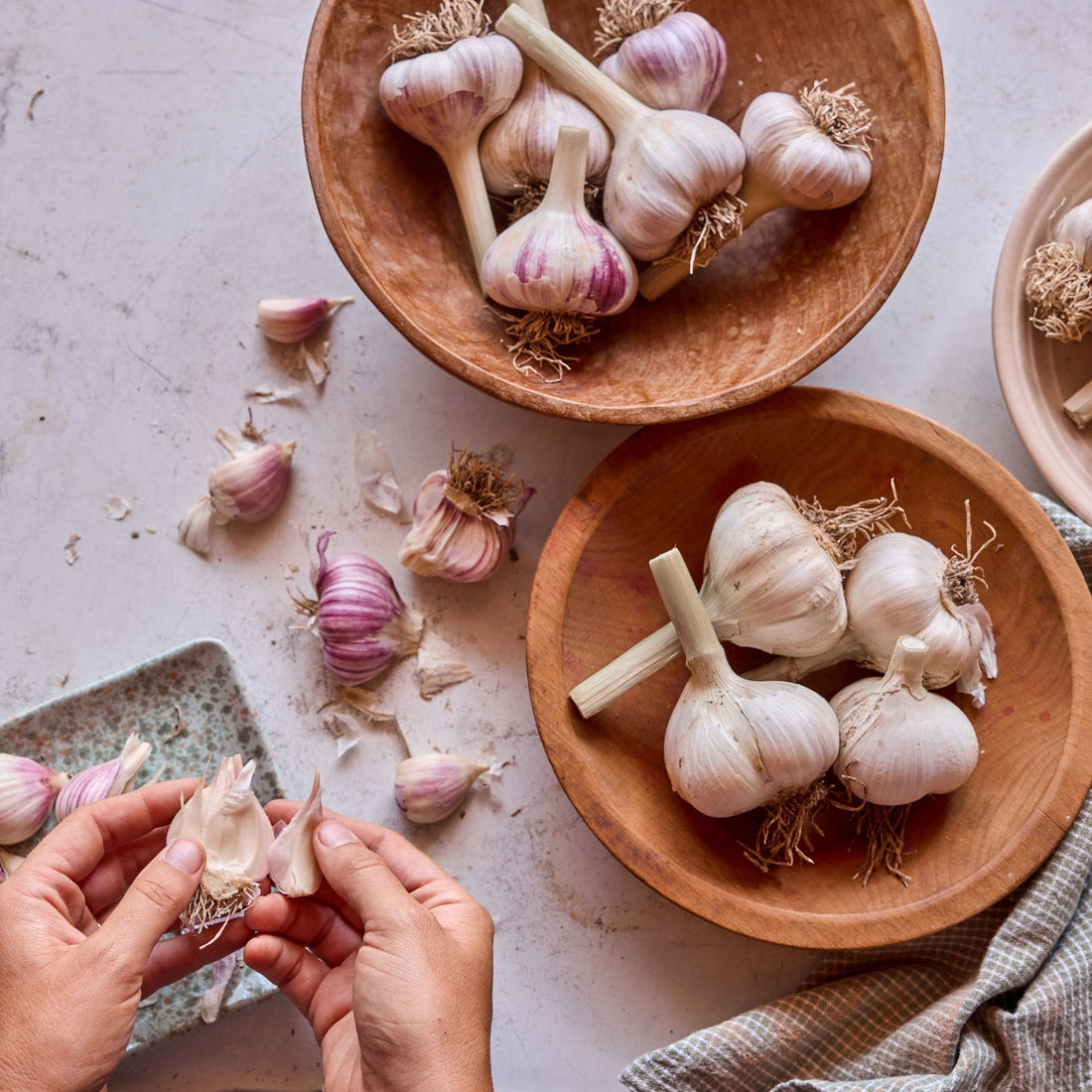 Garlic Characteristics