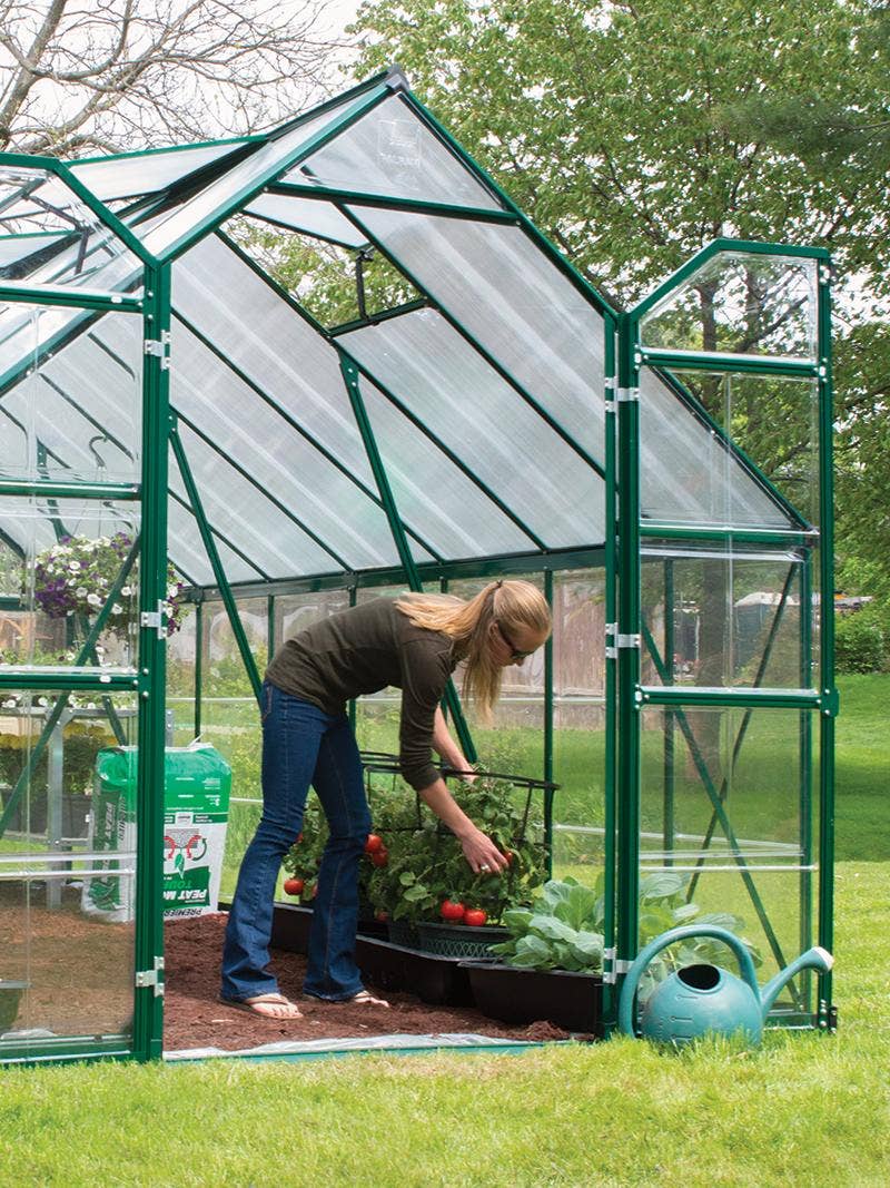 Greenhouse Growing- Plant Care