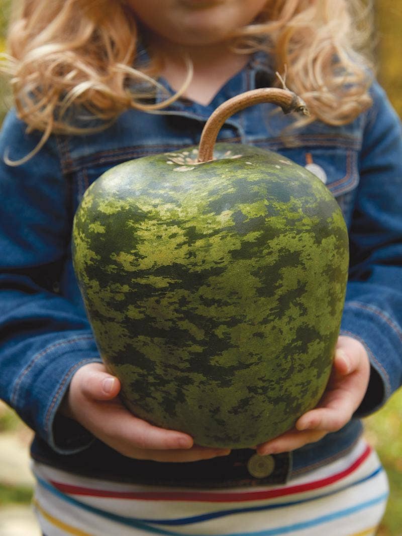 All About Gourds