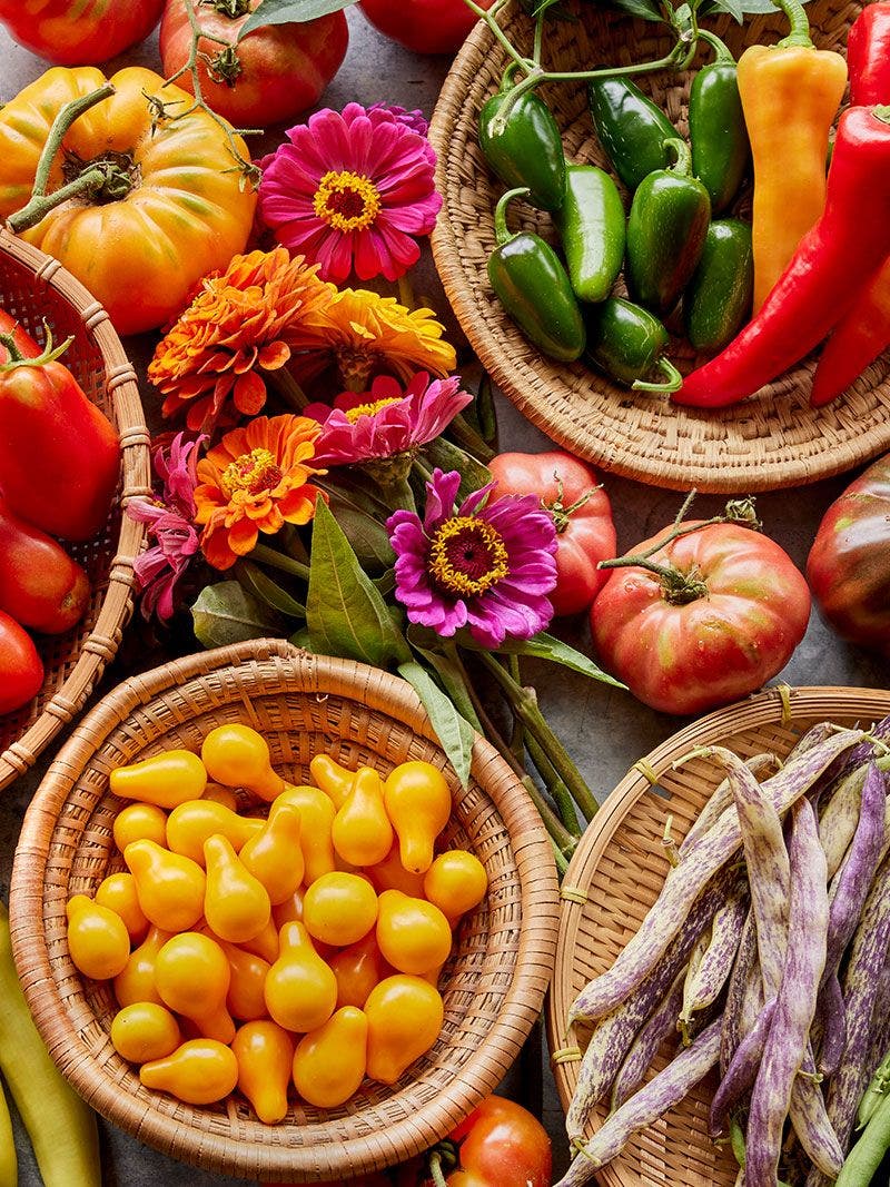 Should You Grow Heirloom Seeds: A Comprehensive Guide