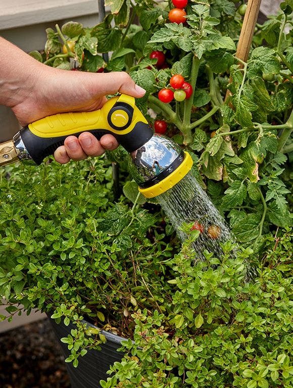 How Often Should I Water My Garden?